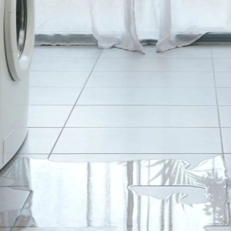 Appliance Leak Cleanup in Frankston, TX