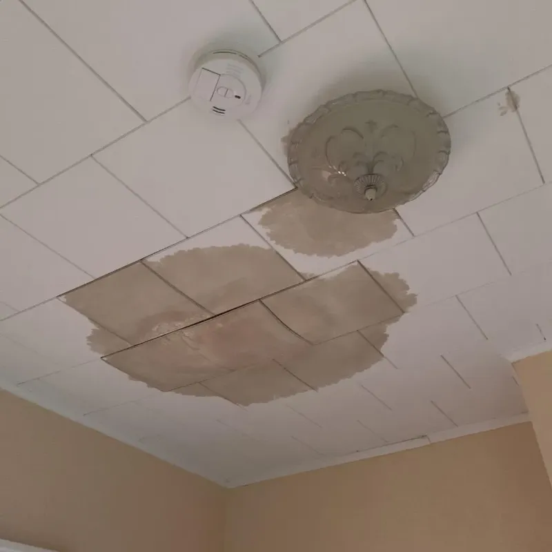 Ceiling Water Damage Repair in Frankston, TX