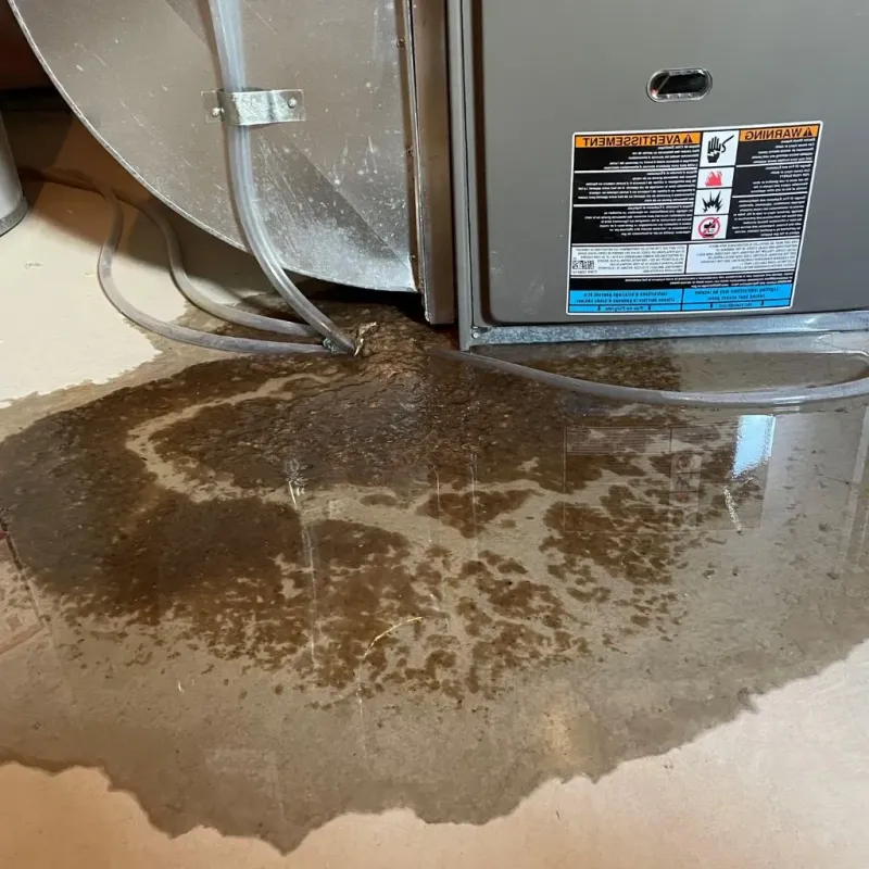Pipe Burst and Leak Restoration in Frankston, TX