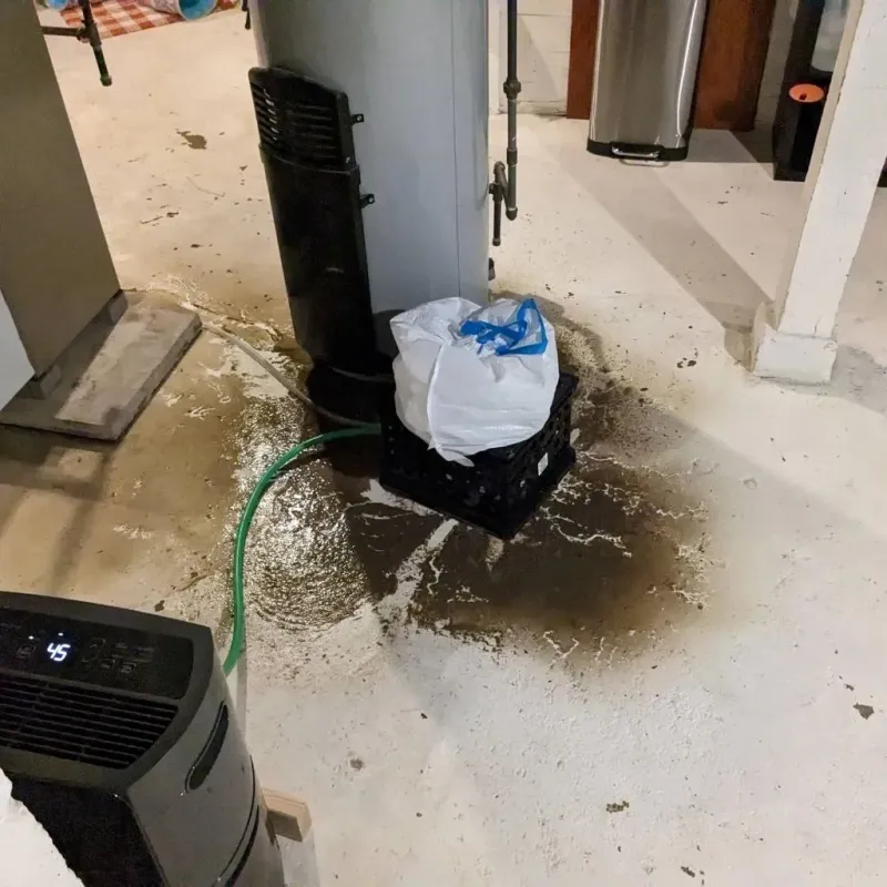 Sewage Backup Cleanup Service in Frankston, TX